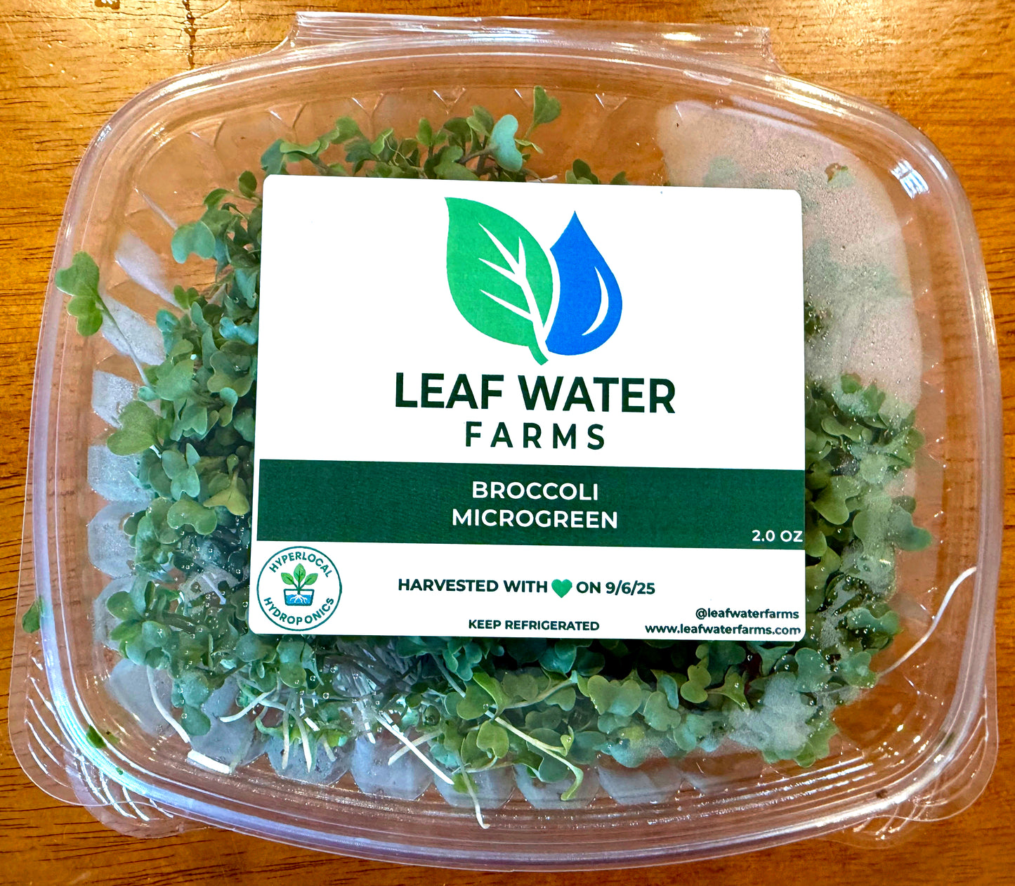 Broccoli Microgreens