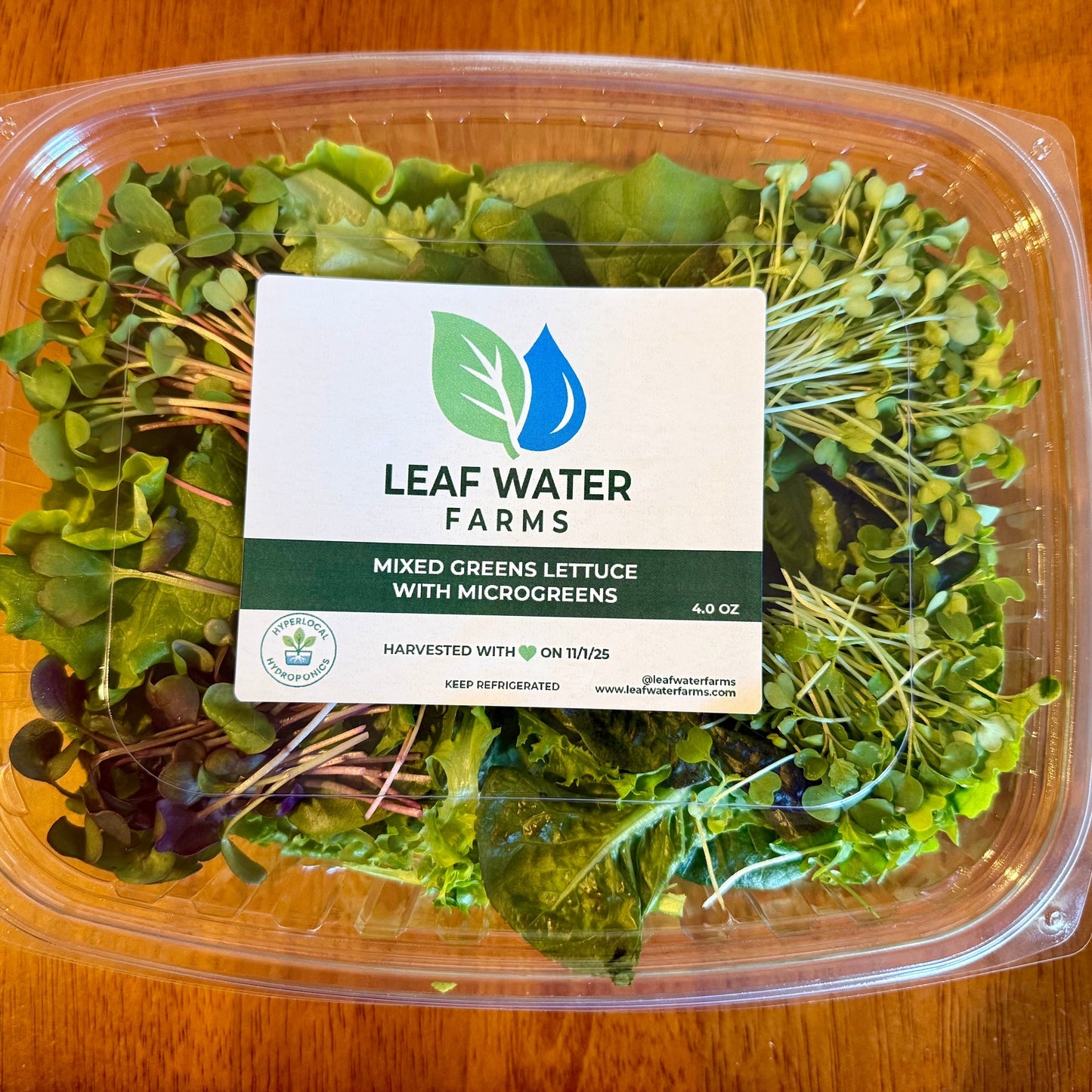 Mixed Green Lettuce With Microgreens