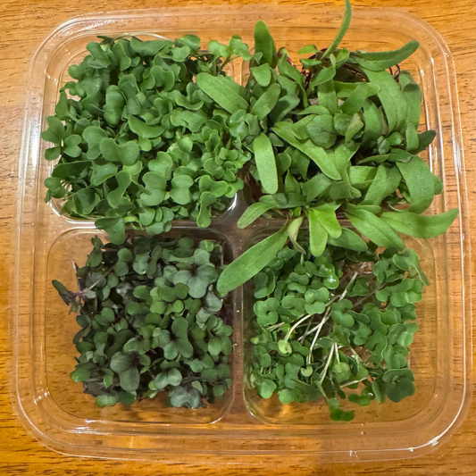Microgreen Savory Mix