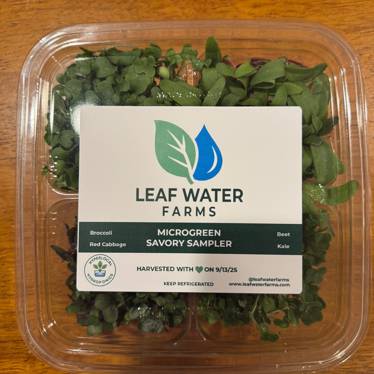 Microgreen Savory Mix