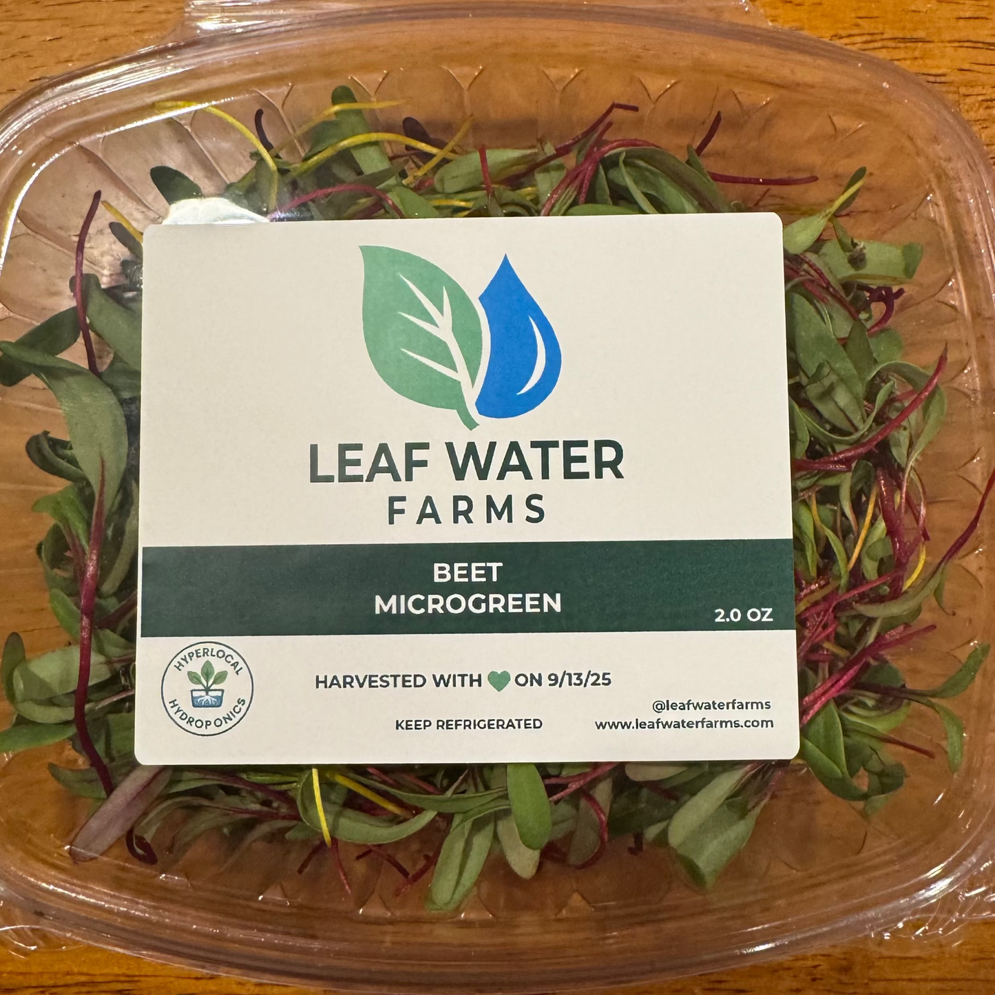 Beet Microgreens