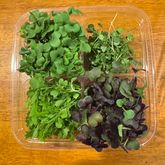 Microgreen Spicy Mix
