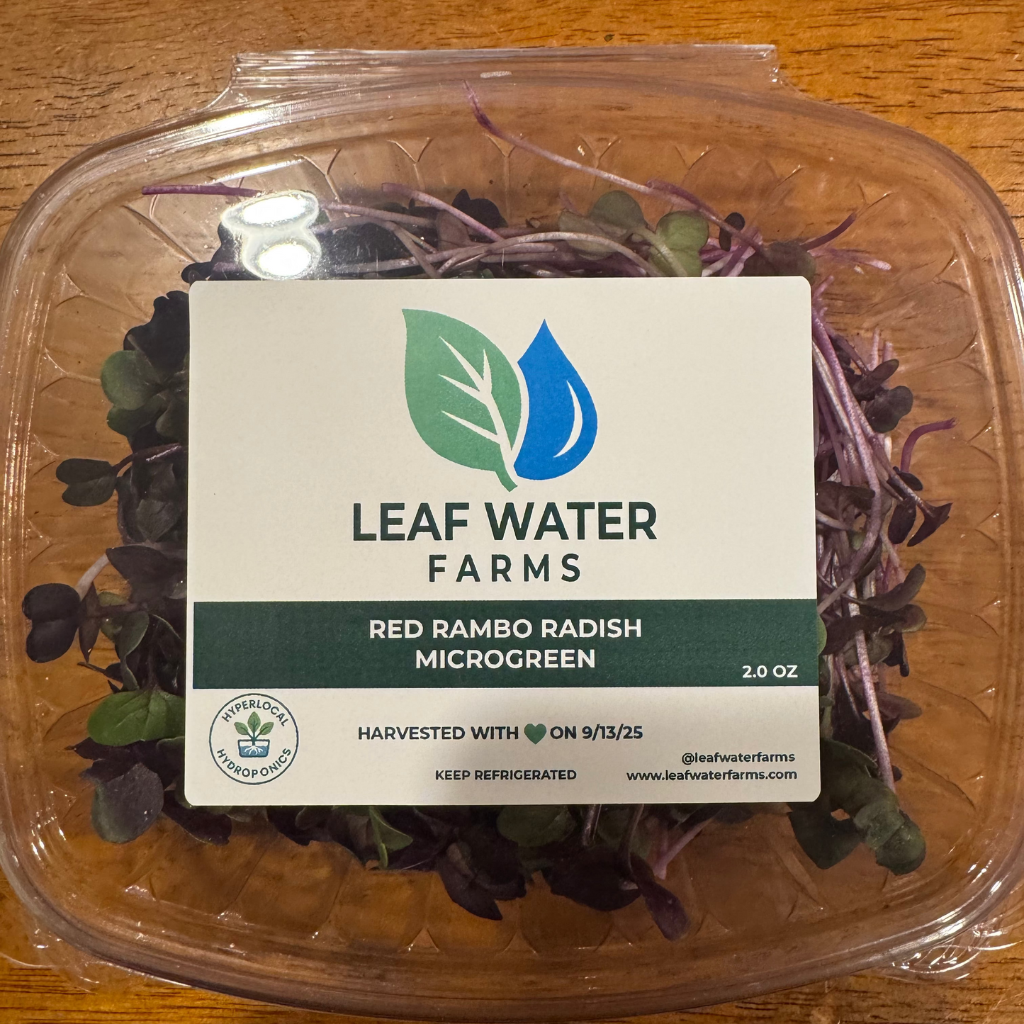Red Rambo Radish Microgreens