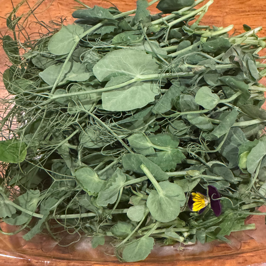 Pea Shoots