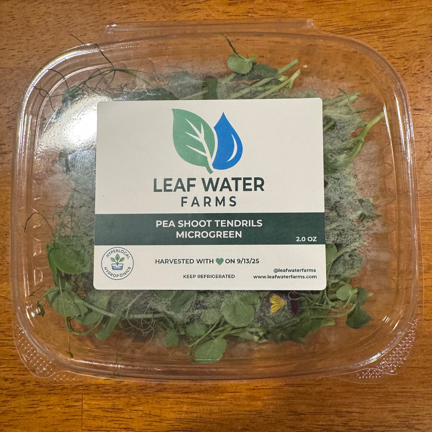 Pea Shoots