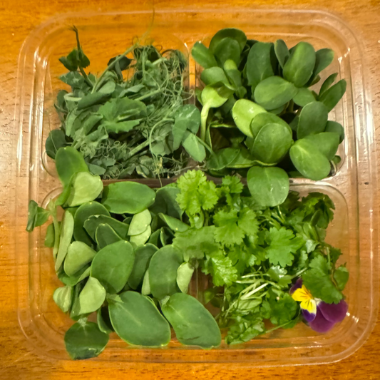 Microgreen Sweet Mix