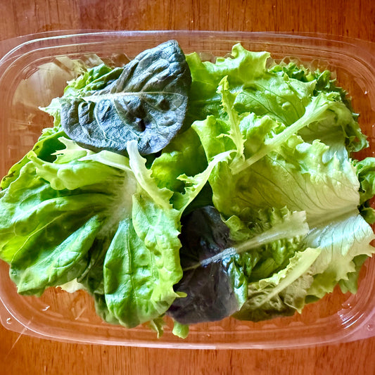 Mixed Green Lettuce