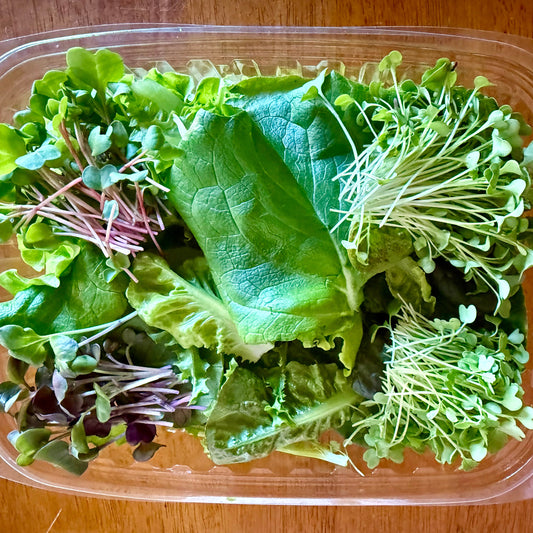 Mixed Green Lettuce With Microgreens